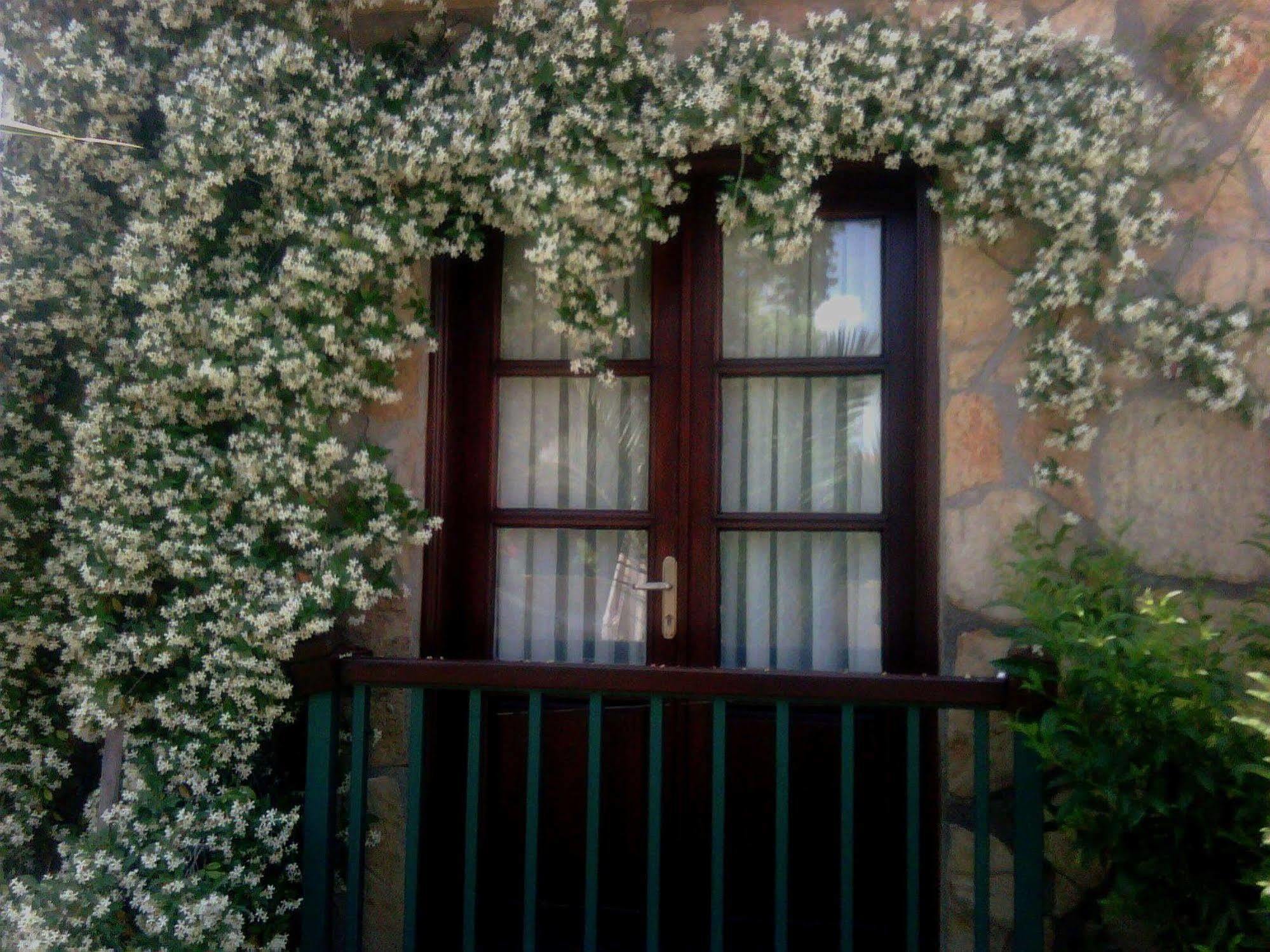 B&B Boutique Hotel Dalyan Exterior foto